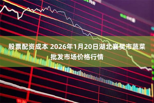 股票配资成本 2026年1月20日湖北襄樊市蔬菜批发市场价格行情