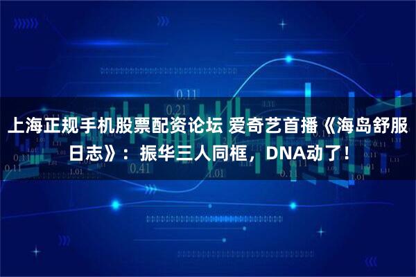上海正规手机股票配资论坛 爱奇艺首播《海岛舒服日志》：振华三人同框，DNA动了！