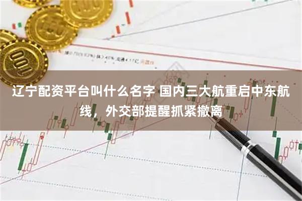 辽宁配资平台叫什么名字 国内三大航重启中东航线,外交部提醒抓紧撤离