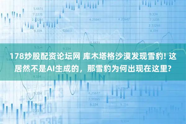 178炒股配资论坛网 库木塔格沙漠发现雪豹! 这居然不是AI生成的，那雪豹为何出现在这里?