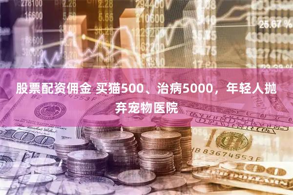 股票配资佣金 买猫500、治病5000,年轻人抛弃宠物医院