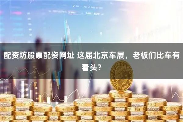 配资坊股票配资网址 这届北京车展，老板们比车有看头？